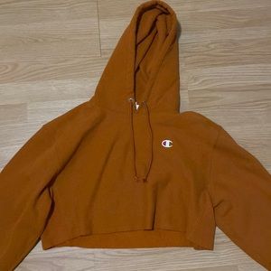 Cropped champion hoodie